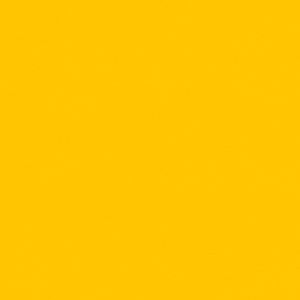 Meet your Posher, Kale